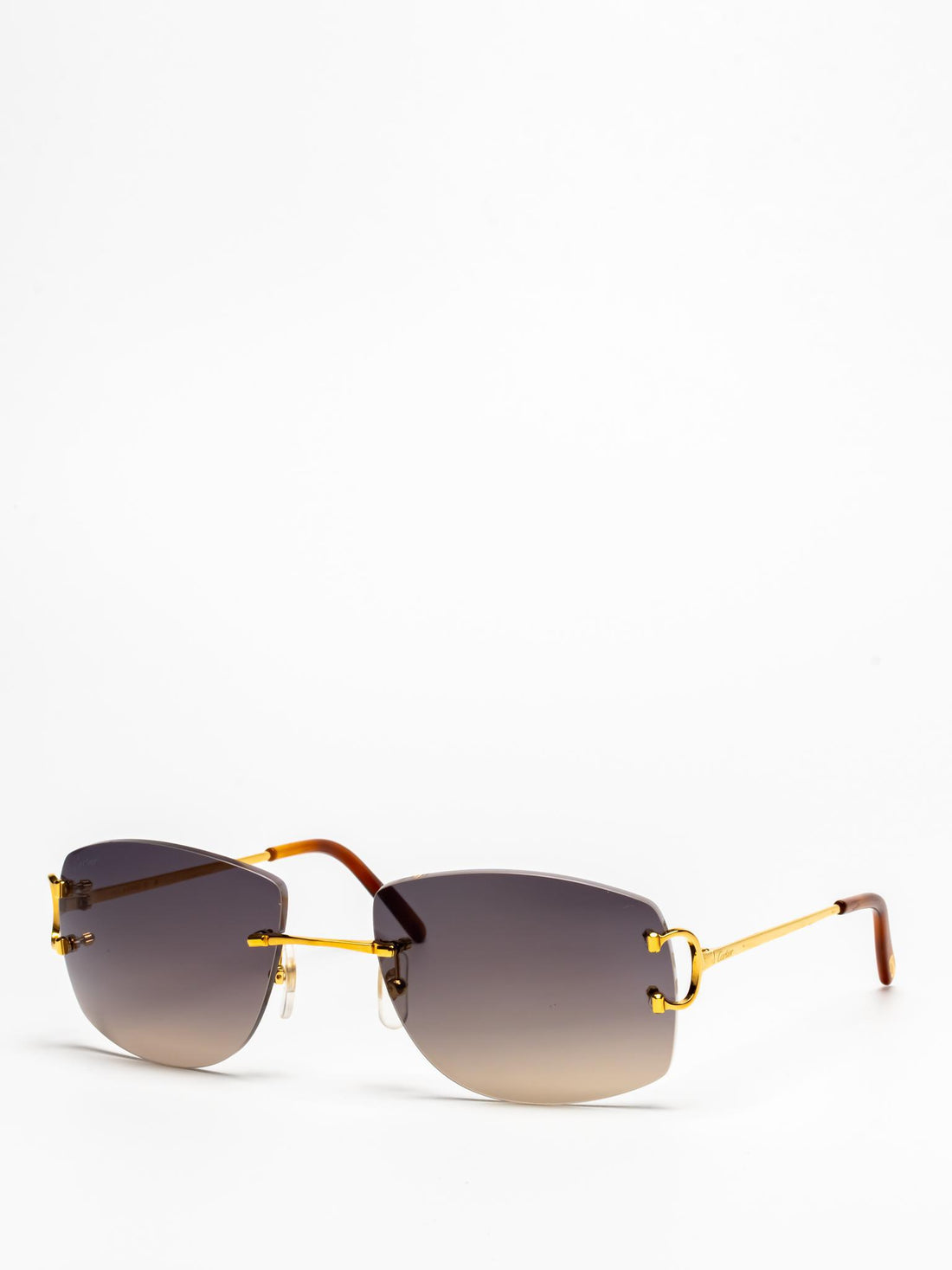 CT0008RS 001 | C DÉCOR SUNGLASSES