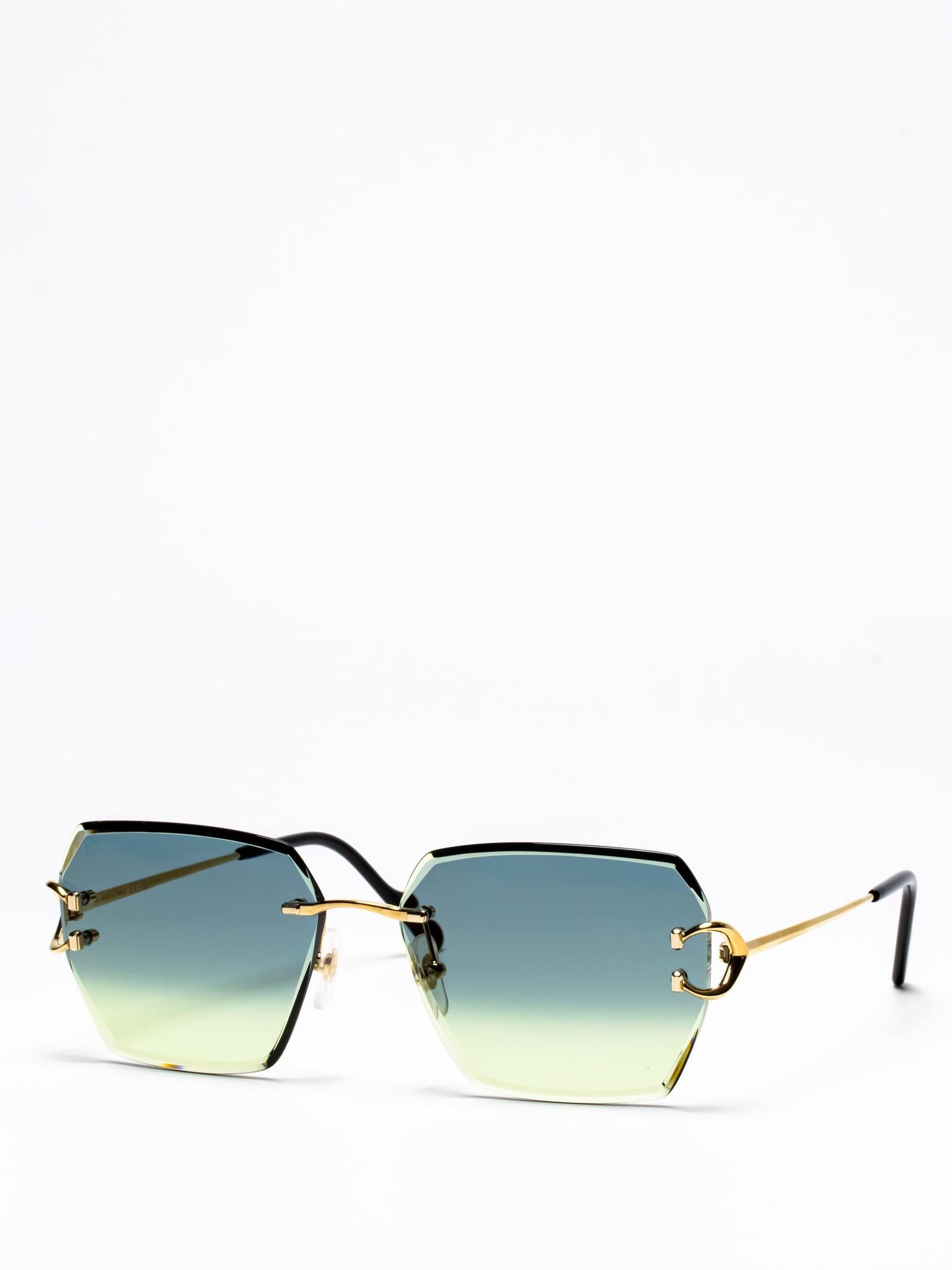 CT0466S 003 | C DÉCOR SUNGLASSES