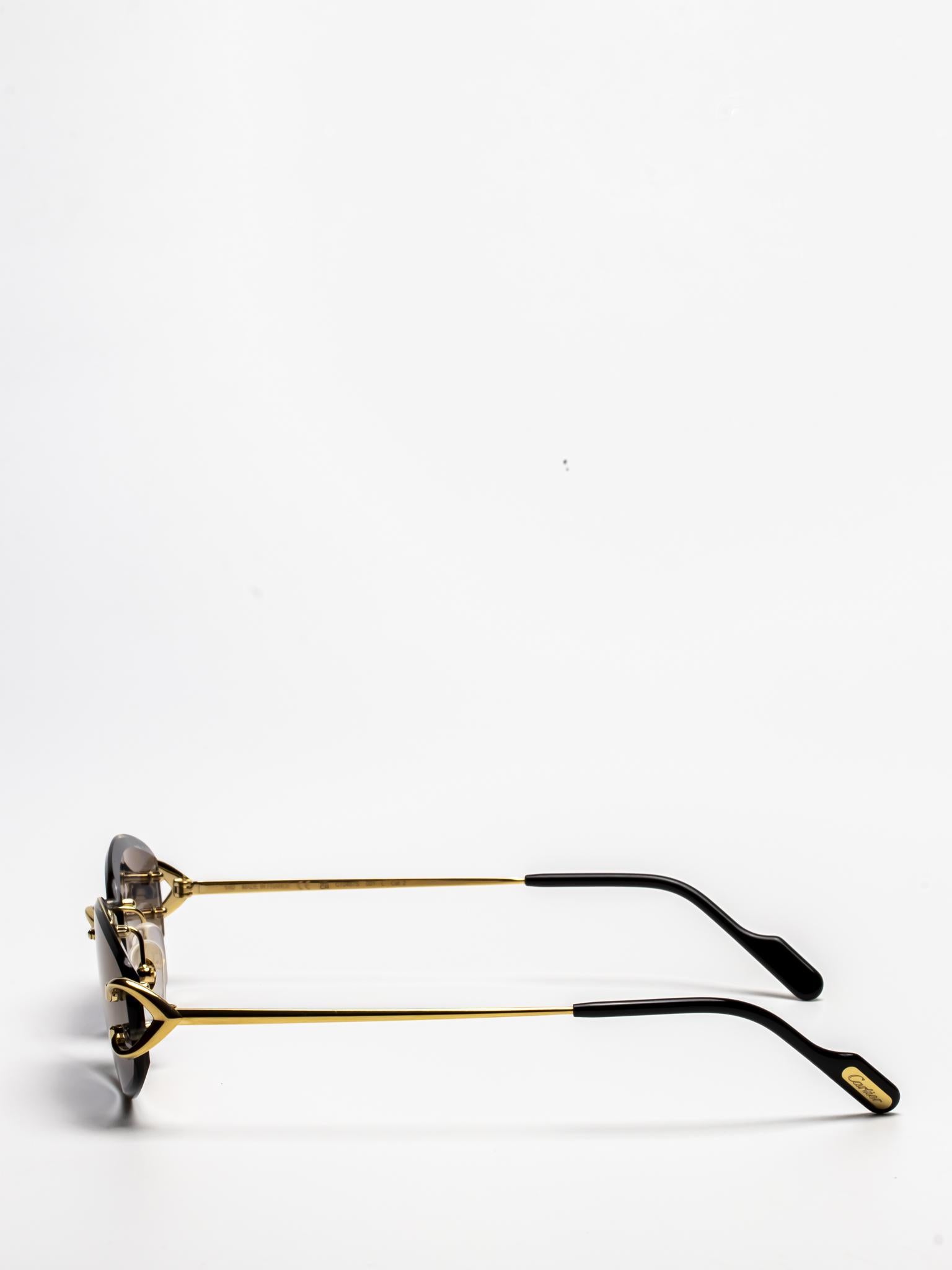 CT0467S 001 C DÉCOR SUNGLASSES – Hall of Frames Company
