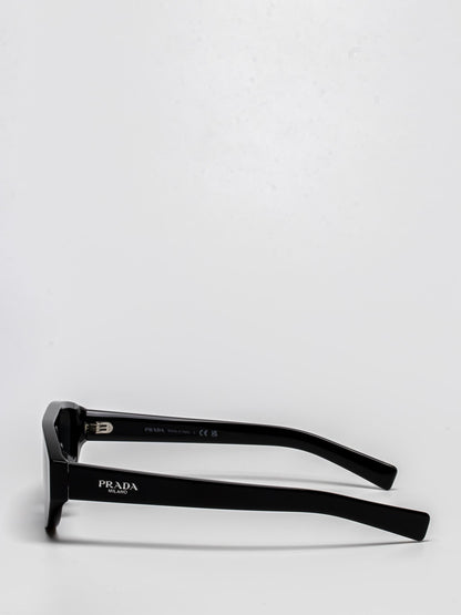 SPR C02-F | OVAL SUNGLASSES