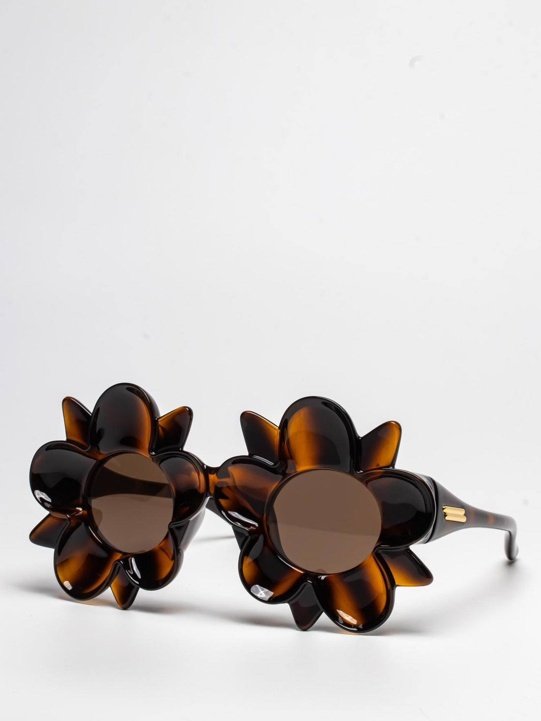 BOTTEGA VENETA | BV1399S 008 | HAVANA | ROUND SUNGLASSES