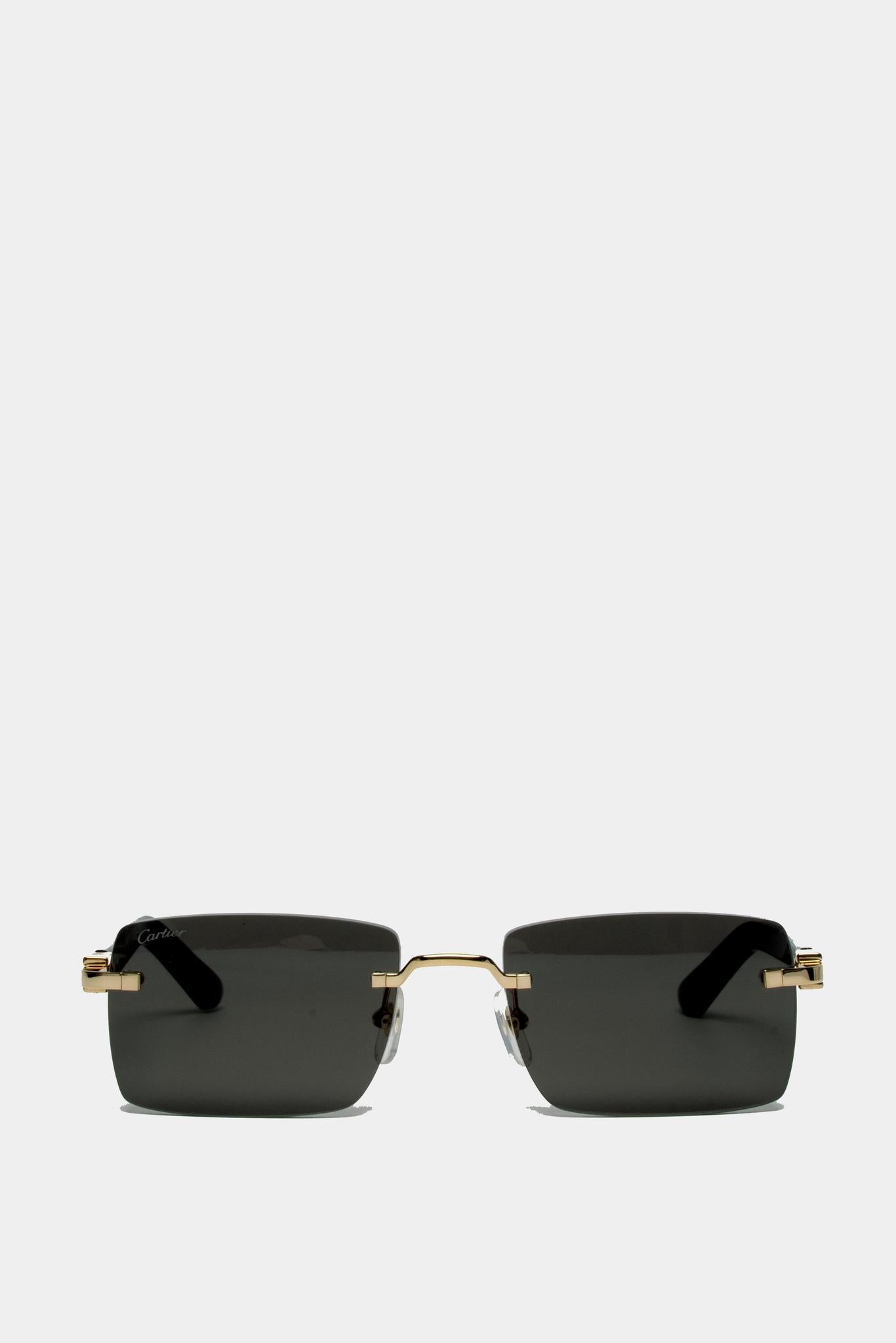 CT0579S 001 C DÉCOR SUNGLASSES