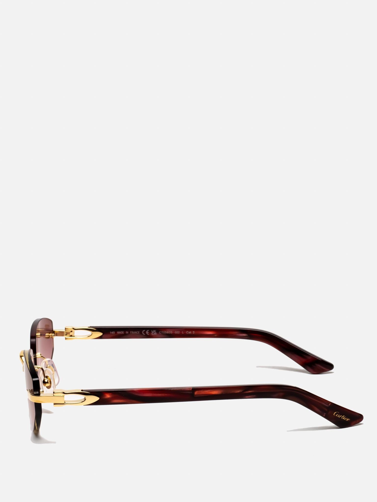 CT0580S 002 C DÉCOR SUNGLASSES