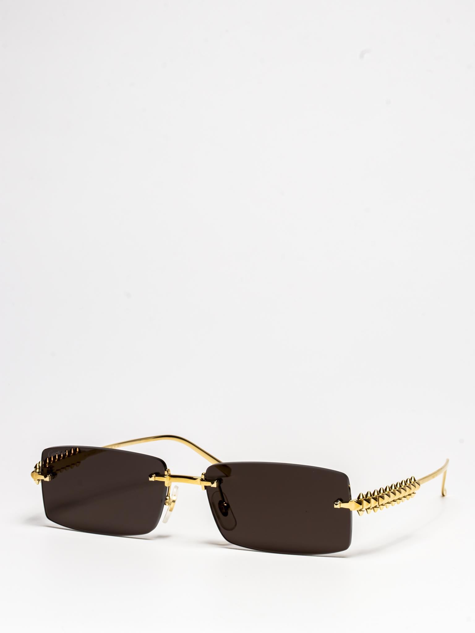 CARTIER CT0604S | 002 CLASH DE CARTIER SUNGLASSES – Hall of Frames