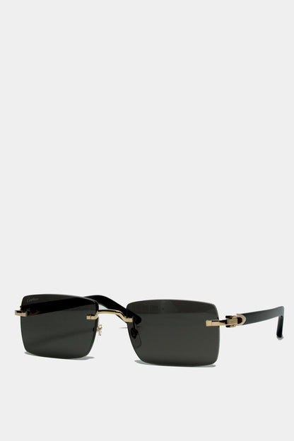 CT0579S 001 C DÉCOR SUNGLASSES
