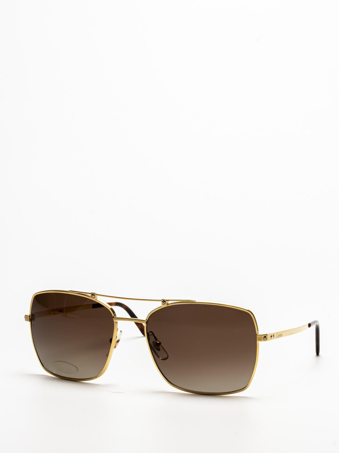 CT0084S 001 | SANTOS SUNGLASSES