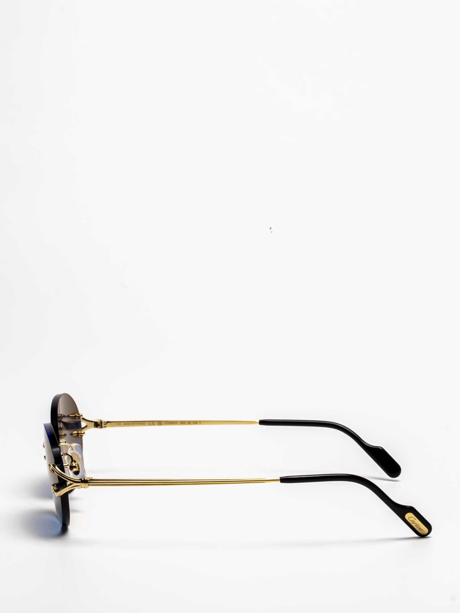 CARTIER CT0551S 002 C DÉCOR SUNGLASSES – Hall of Frames Company