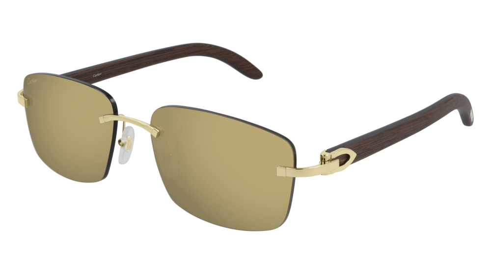 CARTIER | CT0013RS 001